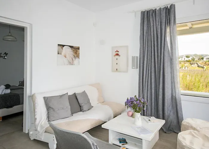 ヴィラ Artemis Mykonos Town