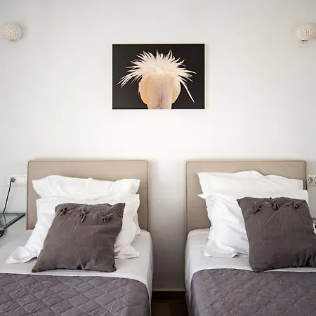 Artemis Villa Mykonos Town