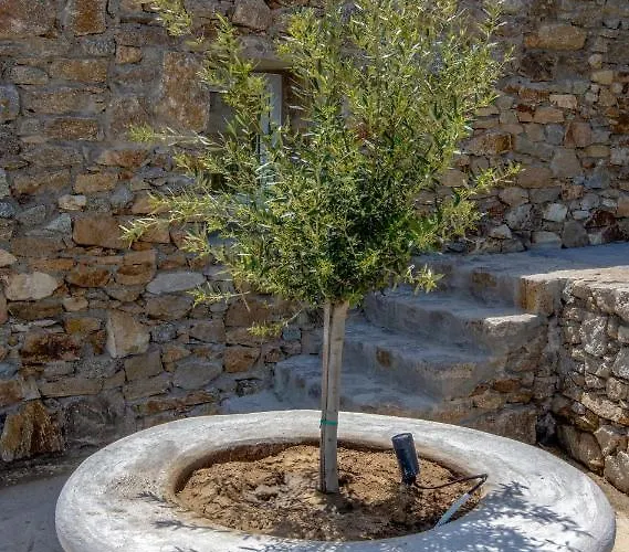 Artemis Mykonos Town