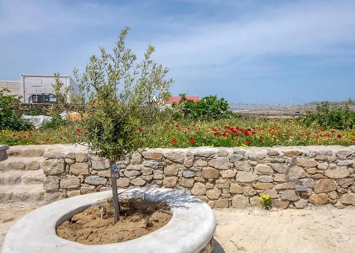 Artemis Villa