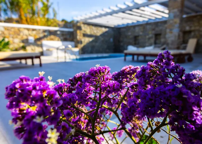 Artemis * Mykonos Town